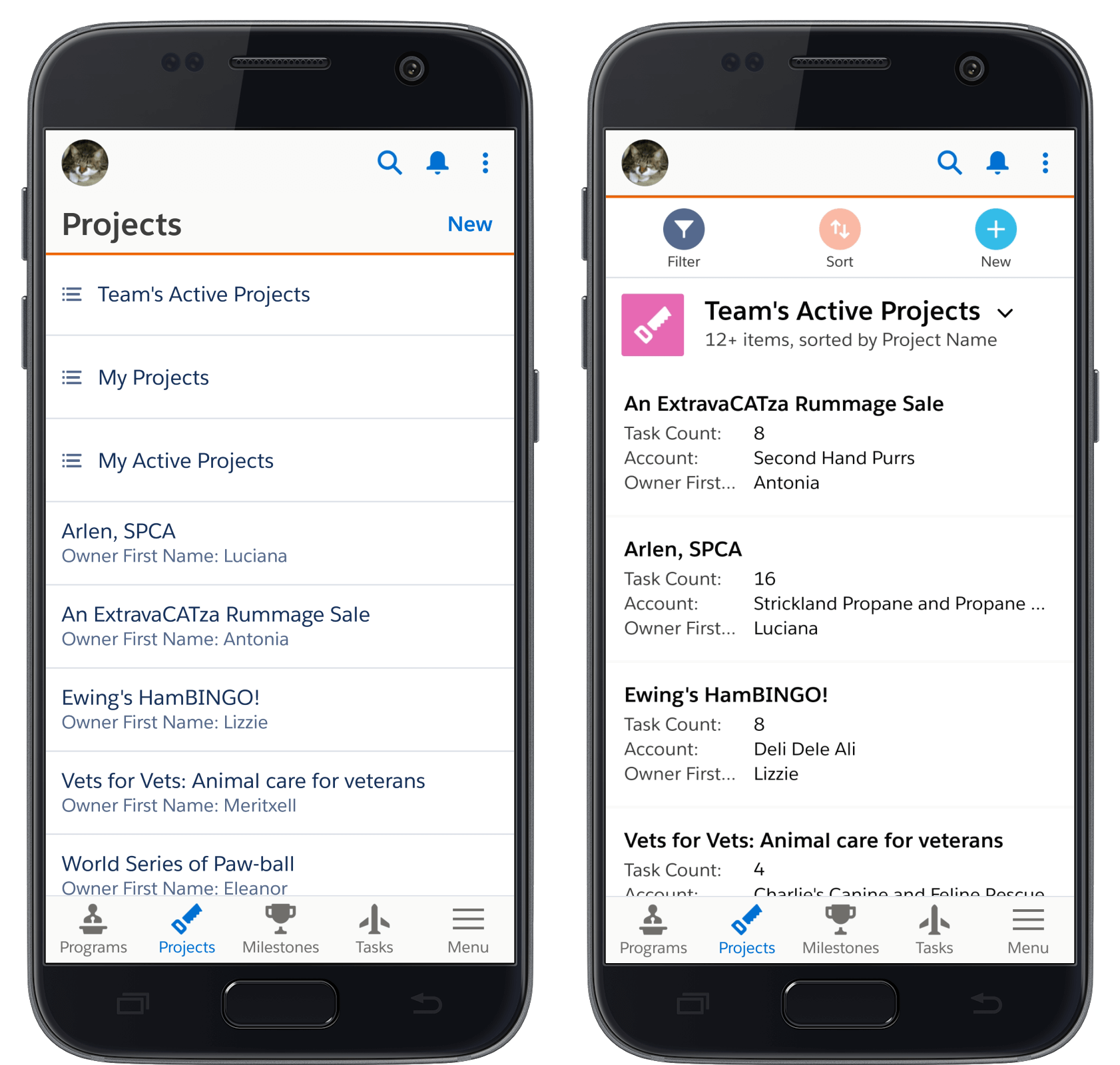 Howto Guide Easily Customize Salesforce Mobile App Menu Navigation